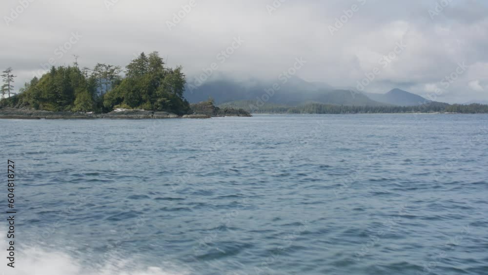 Experience the breathtaking beauty of Canadian nature on a whale watching adventure, where encounters with marine giants leave lasting impressions. Experience the breathtaking beauty of Canadian nature on a whale watching adventure, where encounters with marine giants leave lasting impressions.