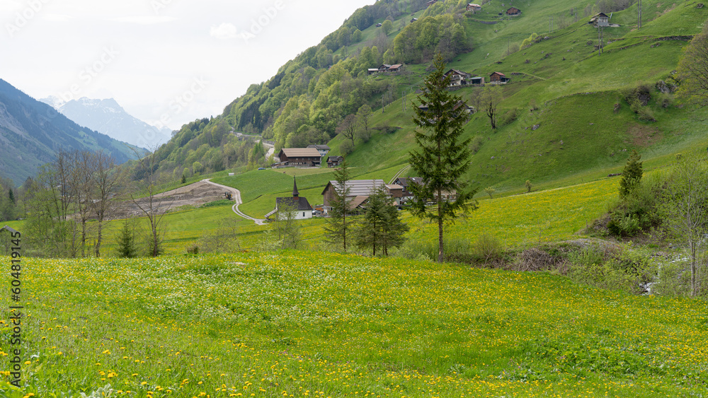 spring in Switzerland, canton Uri