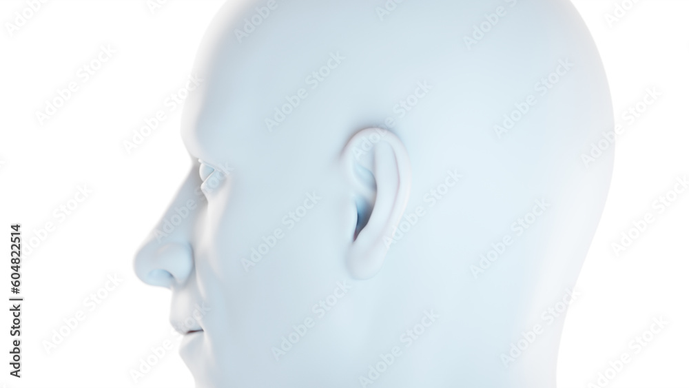 3d medical illustration of the Male body 3d medical illustration of the Male body