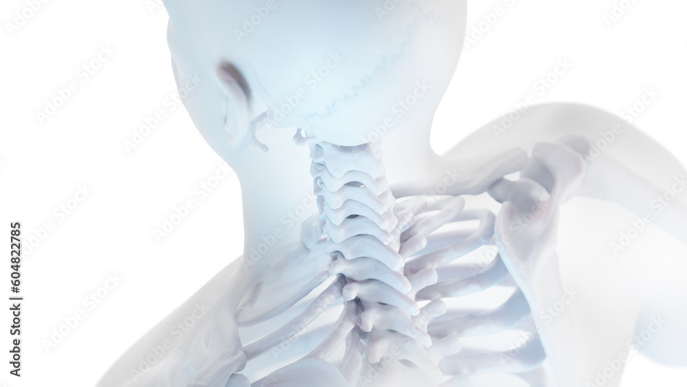 3d medical illustration of a man's skull and cervical spine