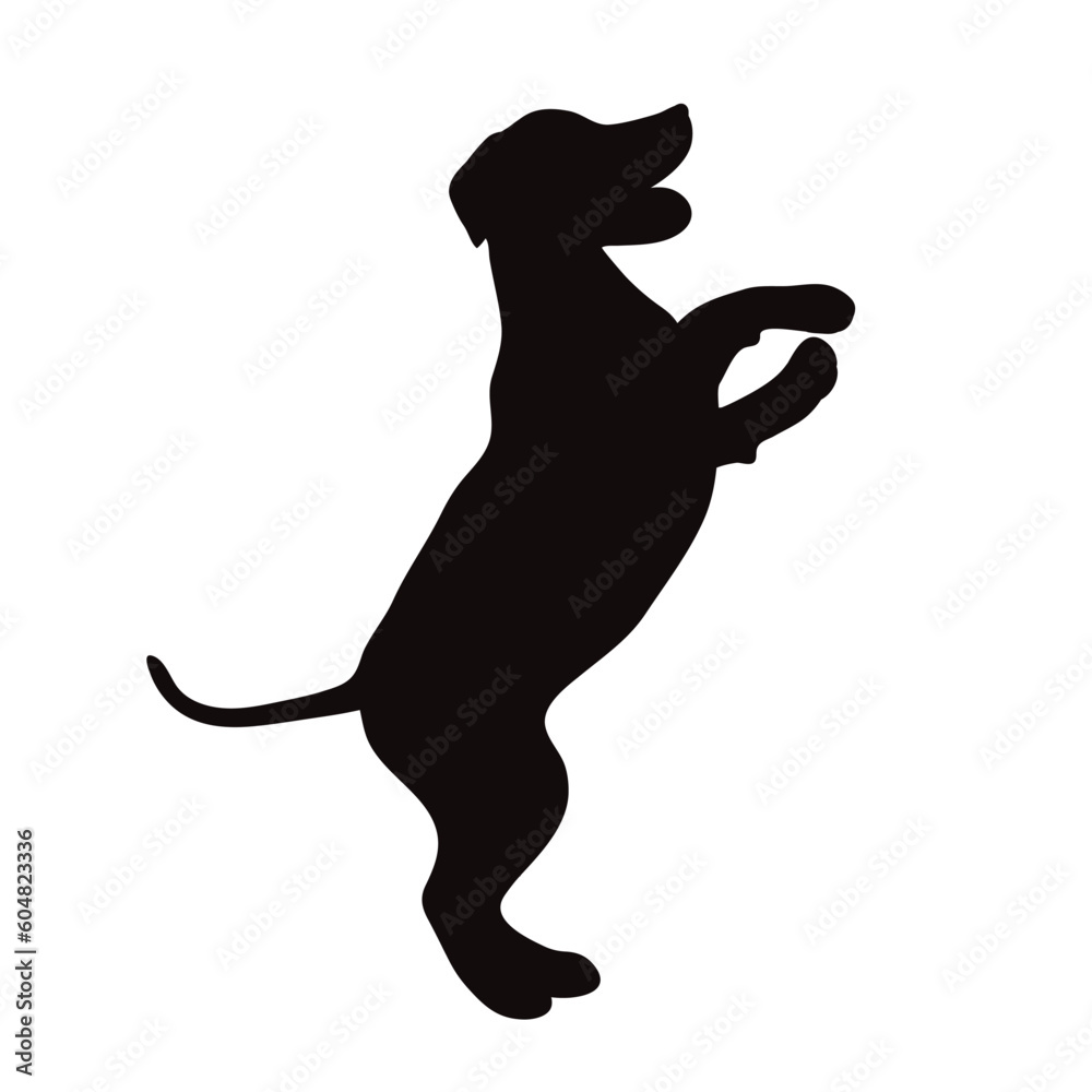 Vector silhouette of Labrador Retriever on white background.