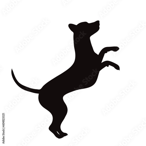 Vector silhouette of jumping dog on white background.