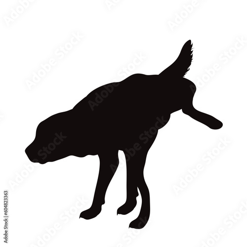 Vector silhouette of urinate dog on white background.