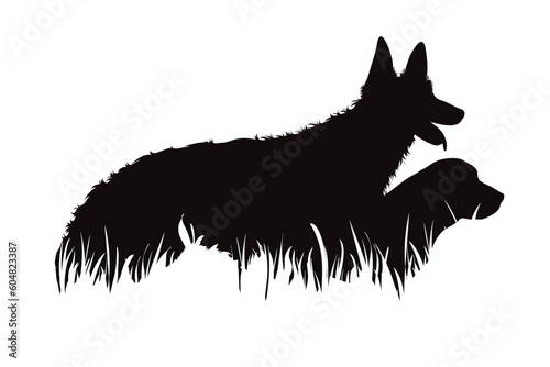 Vector silhouette of dogs standing in the grass in park.