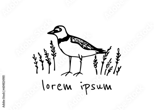 Vector card with hand drawn cute sandpiper among wetland grass. Beautiful animal design elements, ink drawing, logo template