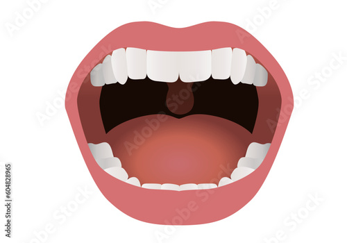 Illustration médicale d’une bouche ouverte montrant les dents, la langue et les lèvres.