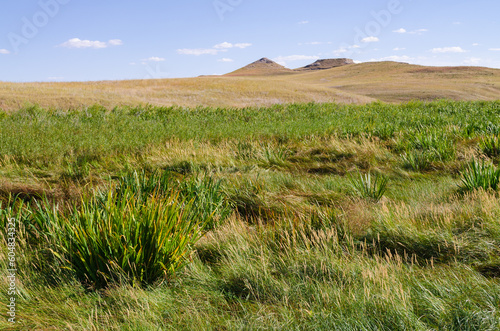 Meadows and Fields at Agate Fossil Beds National Monument photo