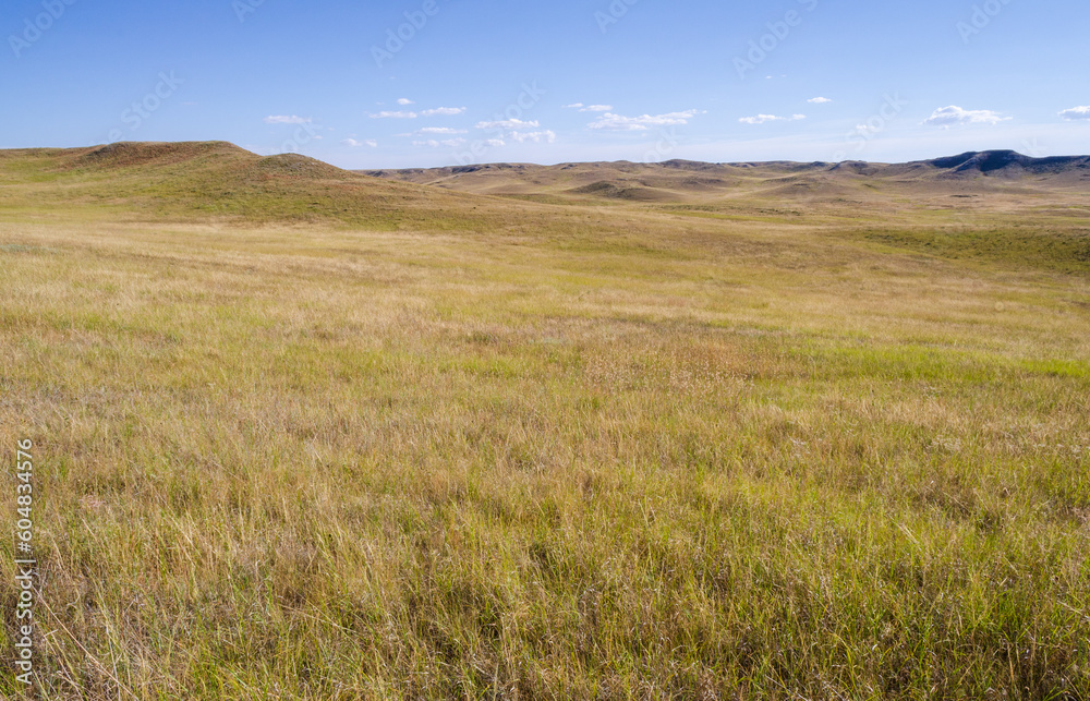 Meadows and Fields at Agate Fossil Beds National Monument