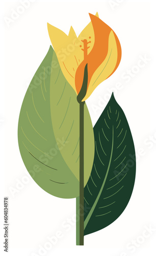 Vector illustration of peace lily in green and orange tones