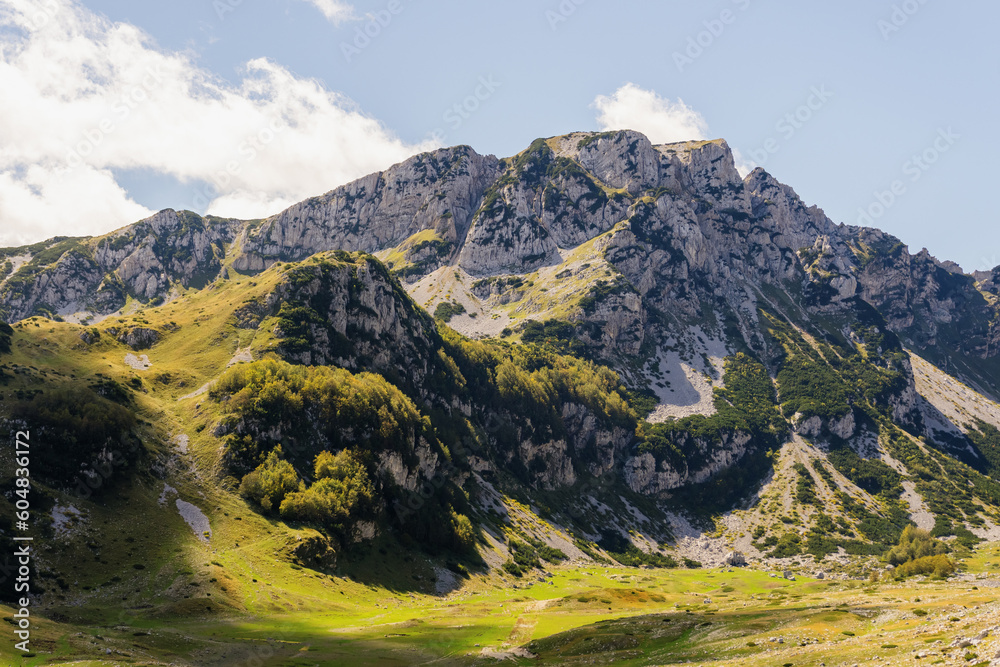 Fototapeta premium Stunning mountain landscape with green vegetation in summer.
