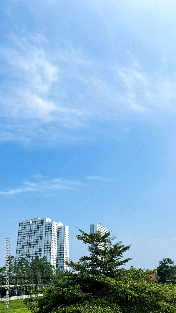 Apartment buildings  in the park under blue sky and white clouds and tree at foreground.