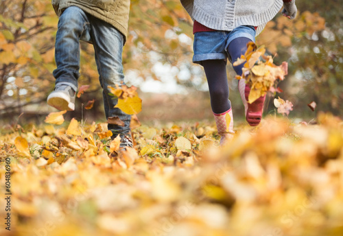 Children walking in autumn leaves