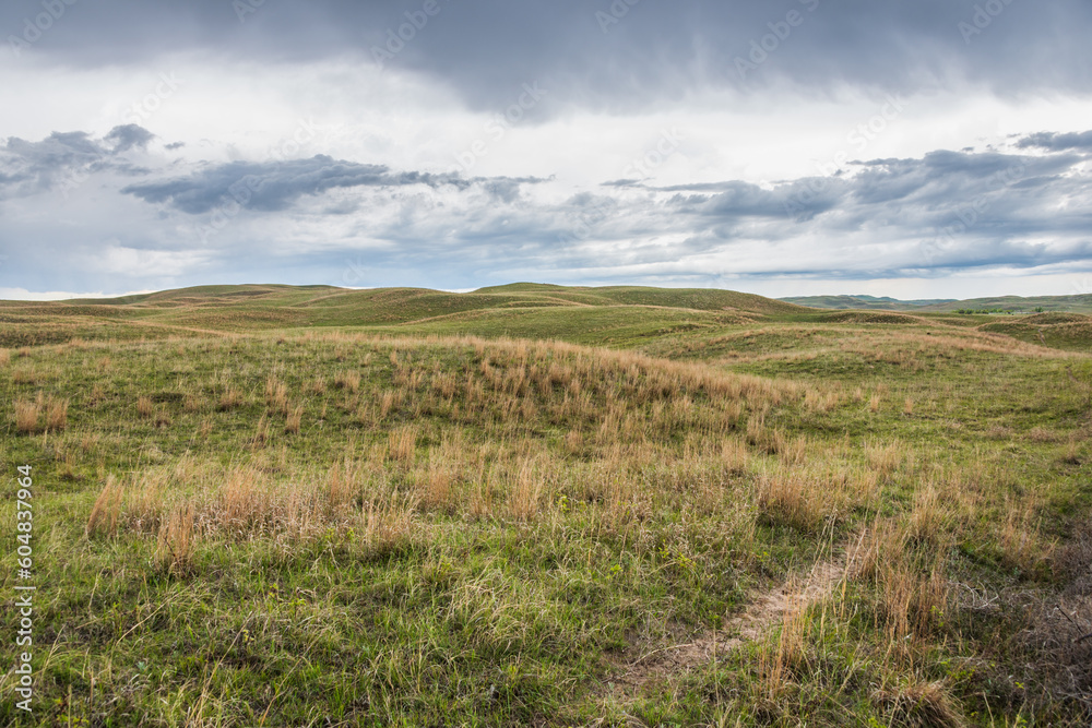 Wide Open Meadows at the Sandhills of north-central Nebraska Wide Open Meadows at the Sandhills of north-central Nebraska
