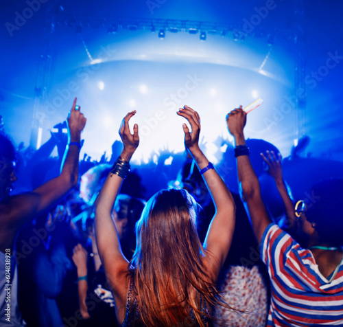 Fans dancing and cheering at music festival