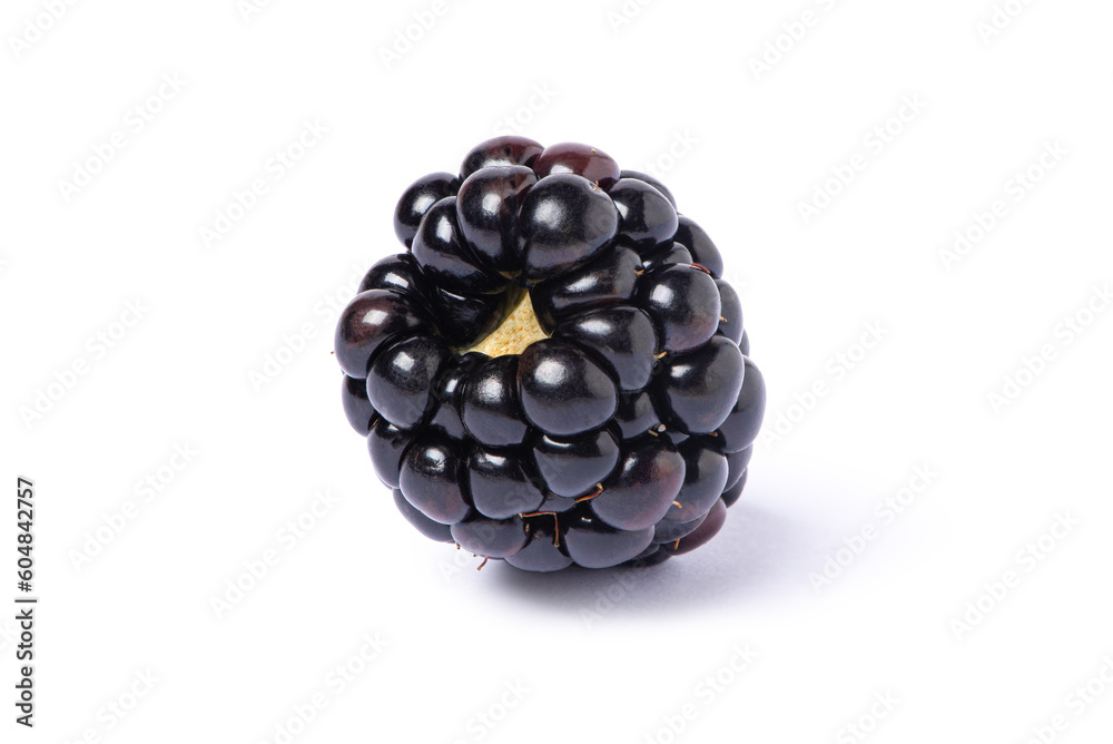 blackberry isolated on white