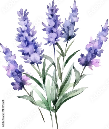 Lavender Flowers Watercolor Illustration. Generative AI