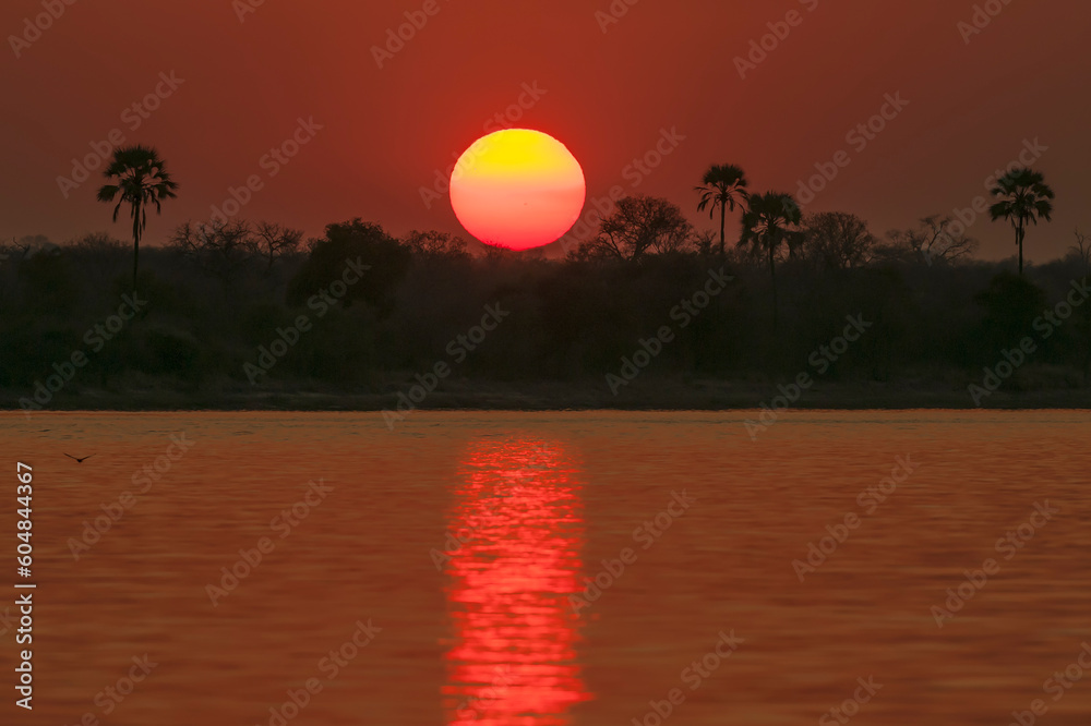 Obraz premium African sunset over Zambeze river