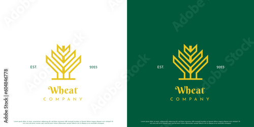 Wheat minimalist logo design illustration. Wheat line art silhouette simple flat minimalist elegant farm farmer agribusiness rural nature business grain buckwheat bran cereal modern meal.