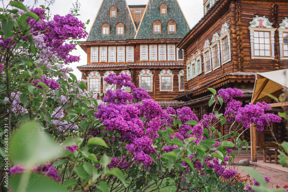 Beautiful, fluffy lilac on the background of the palace of Tsar Alexei Mikhailovich in Kolomenskoye. Russia, Moscow, May 2023