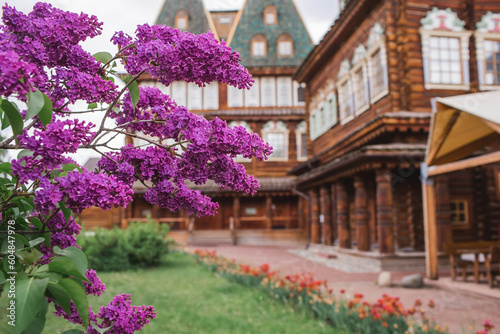 Beautiful, fluffy lilac on the background of the palace of Tsar Alexei Mikhailovich in Kolomenskoye. Russia, Moscow, May 2023