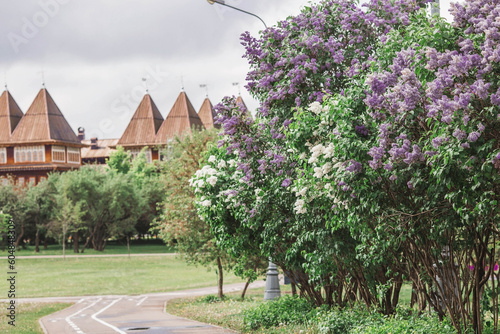 Beautiful, fluffy lilac on the background of the palace of Tsar Alexei Mikhailovich in Kolomenskoye. Russia, Moscow, May 2023 photo