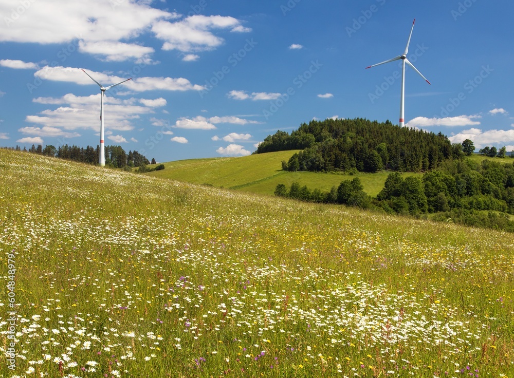 Fototapeta premium wind power plants and springtime meadow