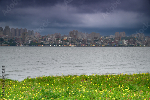 At dusk  the small yellow flowers on the river bank sway with the wind. The buildings overlooking Tamsui from the left bank of Bali  New Taipei City.