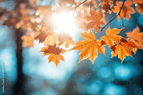 red and orange maple leaf in autumn time on blurred background  AI