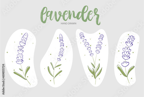 Lavender hand drawn set