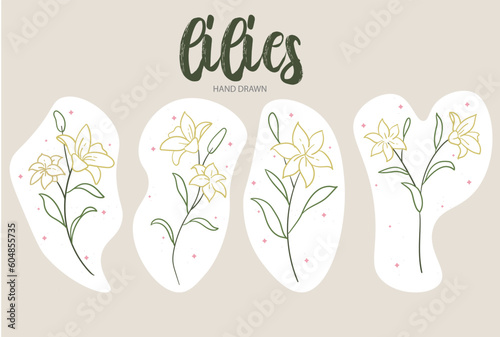 Lilies hand drawn set