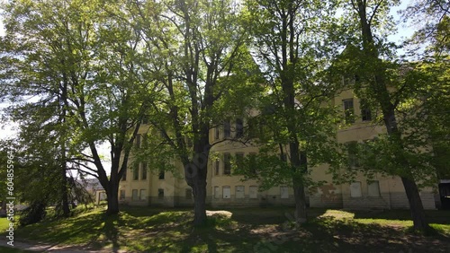 Tilting through the trees  to show the building. photo