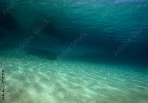 a beautiful underwater setting in the crystal clear waters of the caribbean sea © gustavo