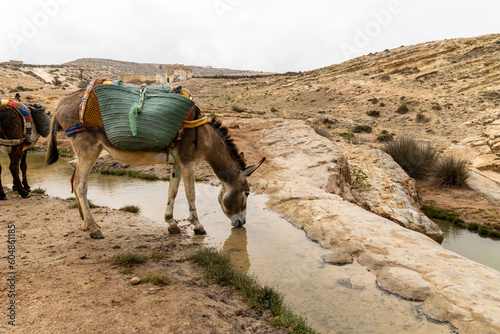 Maroc Essaouira 