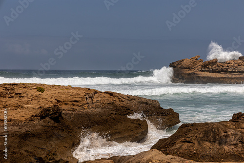 Maroc Essaouira 