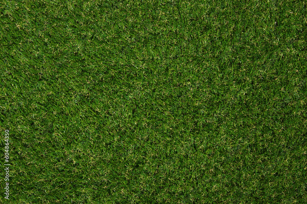 Obraz premium Green grass background