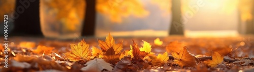 Autumn Leaves In A Park With A Softfocus Golden Hour Banner Background. Generative AI