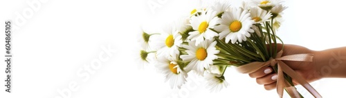 Wide Frame Side Bouquet Of Daisies In Hand With Ribbon White Banner Background. Generative AI