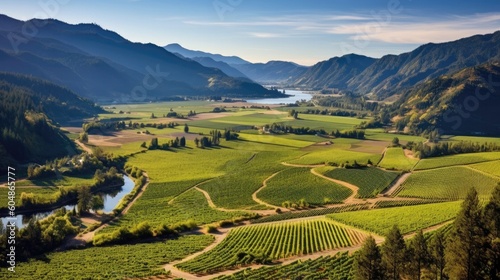 Rolling Vineyards Stretching Across A Picturesque Valley. Generative AI