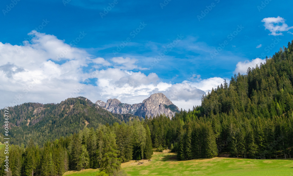 green meadow with the Italian dolomites