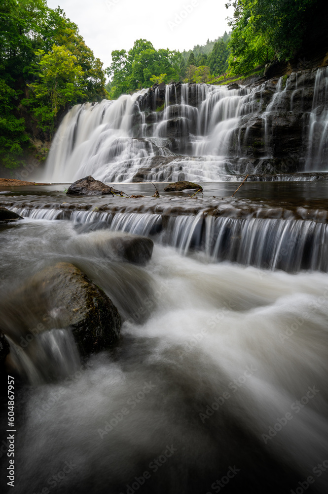 Fototapeta premium 栃木県那須烏山市 新緑の龍門の滝