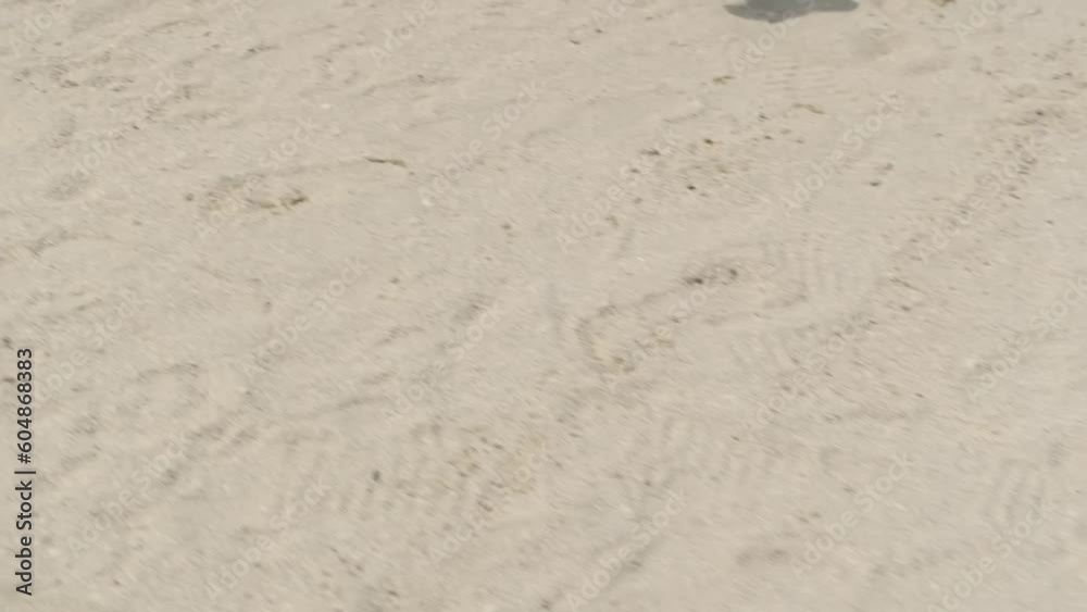A young swarthy woman in a bikini and a light red dress walks barefoot on a sandy beach in the surf water A young swarthy woman in a bikini and a light red dress walks barefoot on a sandy beach in the surf water
