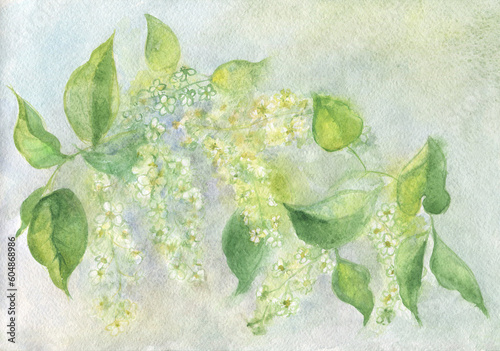 Watercolor image of a flowering cherry branch.
