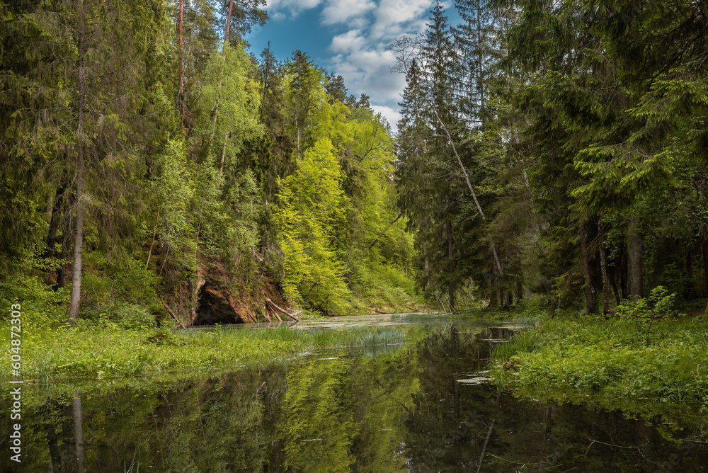Mirror cliff (latvian: Spoguļklints) in Cirulisi (latvian: Cīrulīši) Nature Trails in Cesis (latvian: Cēsis), Latvia Mirror cliff (latvian: Spoguļklints) in Cirulisi (latvian: Cīrulīši) Nature Trails in Cesis (latvian: Cēsis), Latvia