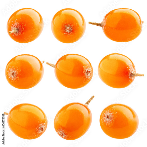 Konstfotografi Sea buckthorn isolated on white background, full depth of field