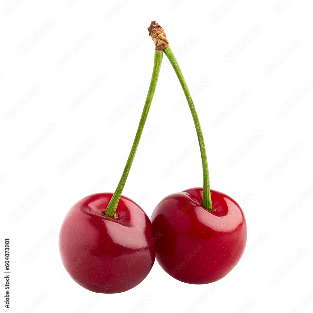 Cherry isolated on white background, full depth of field Cherry isolated on white background, full depth of field
