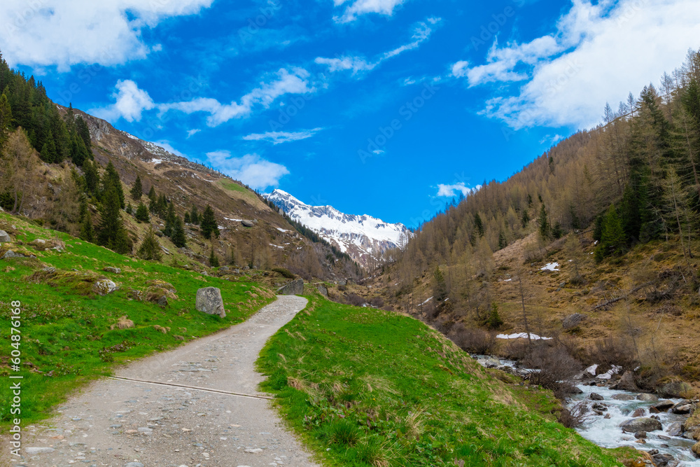 Hiking path between the river Rienz and green meadow  at Val Pusteria in the italian Alps