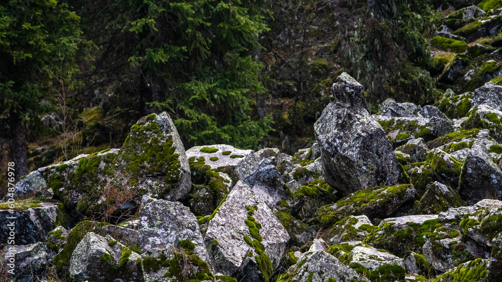 rocks and rocks covered with moss. old stony forest rocks and rocks covered with moss. old stony forest