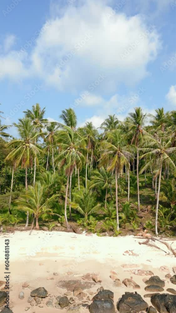 Serene aerial view of a tropical beach with coconut palms, beautiful blue sky, and clouds on a sunny day, Thailand. Tropical beach background. Serene aerial view of a tropical beach with coconut palms, beautiful blue sky, and clouds on a sunny day, Thailand. Tropical beach background.