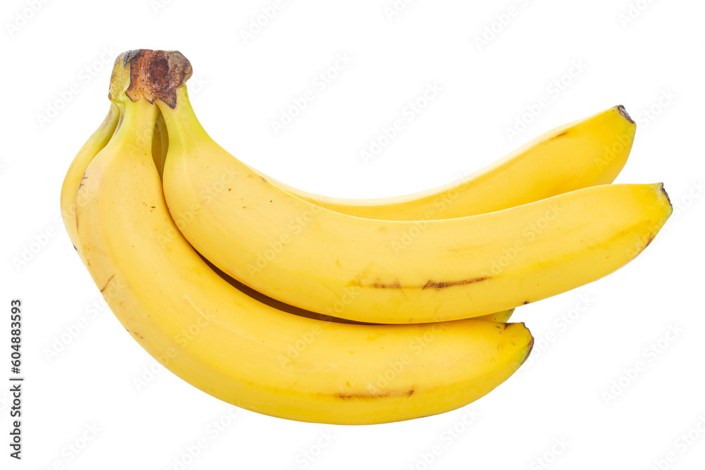 Ripe bananas of uniform yellow color, isolated on white background.
