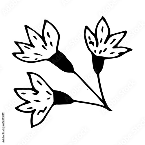 a doodle sprig of cornflower wild flowers 